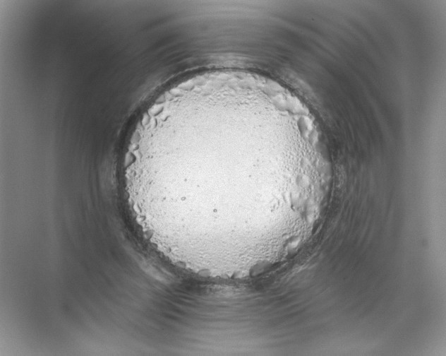 X0000074300347200609222340