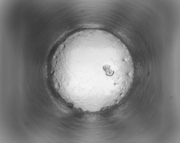 X0000074300351200609222341