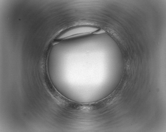 X0000074300352200609222341