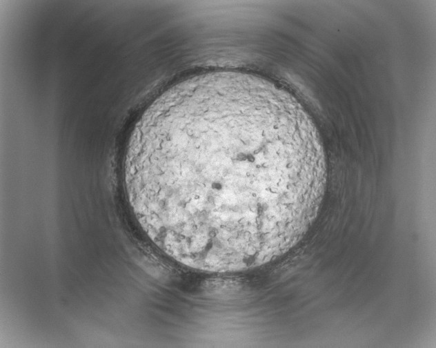 X0000074300354200609222341