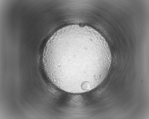 X0000074300355200609222341