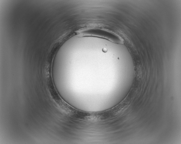 X0000074300356200609222341