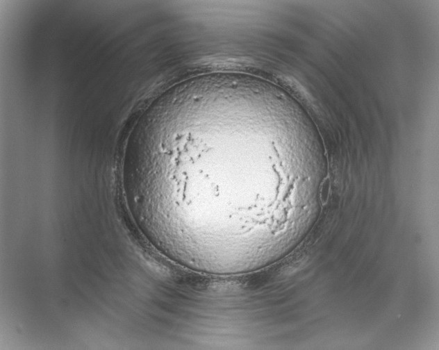 X0000074300357200609222341