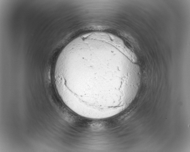 X0000074300358200609222341