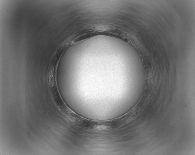 X0000074300360200609222341