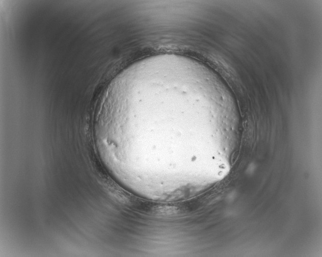 X0000074300361200609222341