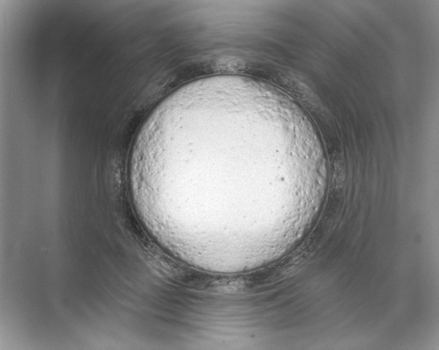 X0000074300363200609222341