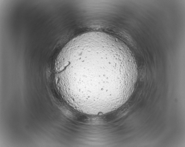 X0000074300365200609222341