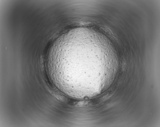 X0000074300366200609222341