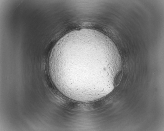 X0000074300367200609222341