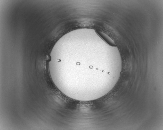 X0000074300368200609222341