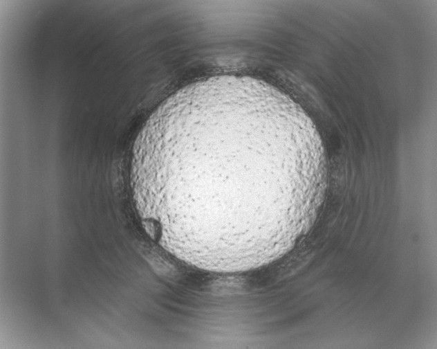 X0000074300369200609222341