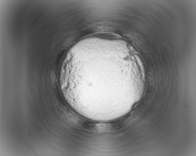 X0000074300371200609222341