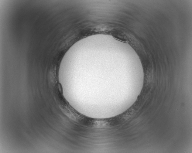 X0000074300376200609222341