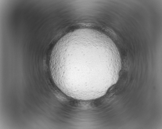 X0000074300377200609222341