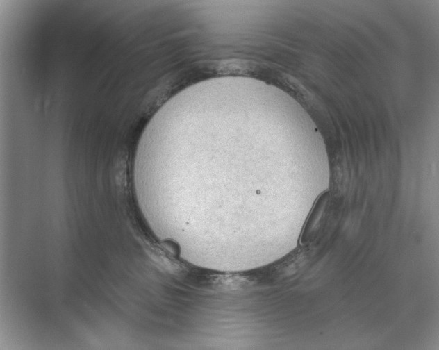 X0000074300379200609222341