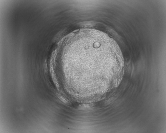 X0000074300381200609222341