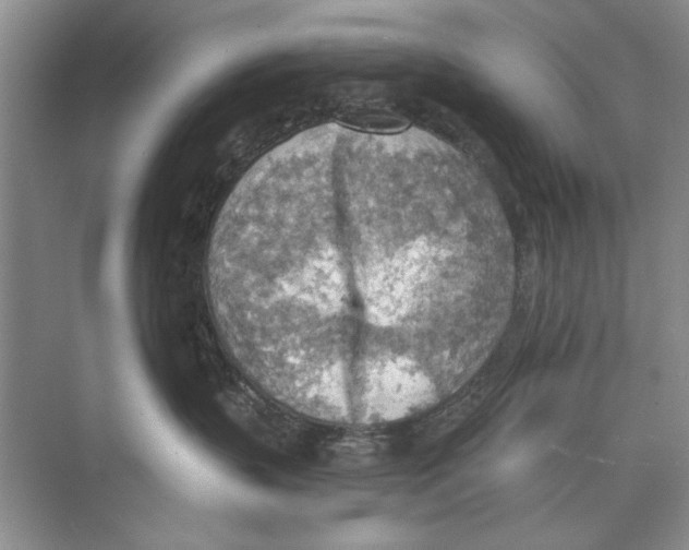 X0000074300383200609222341