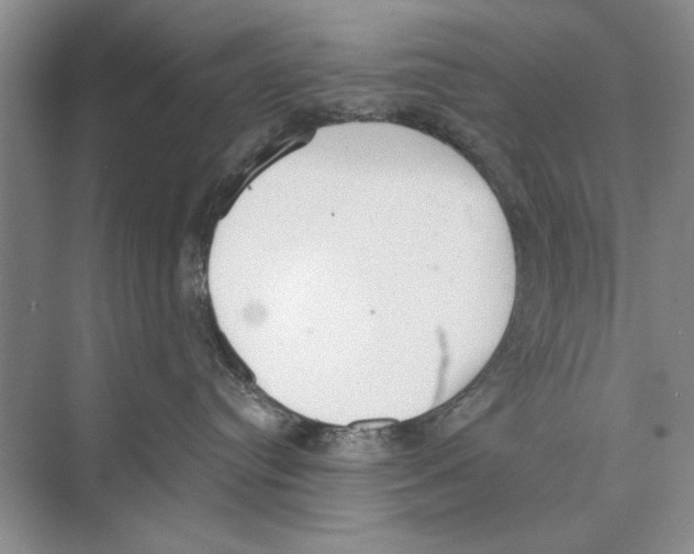 X0000074300384200609222341