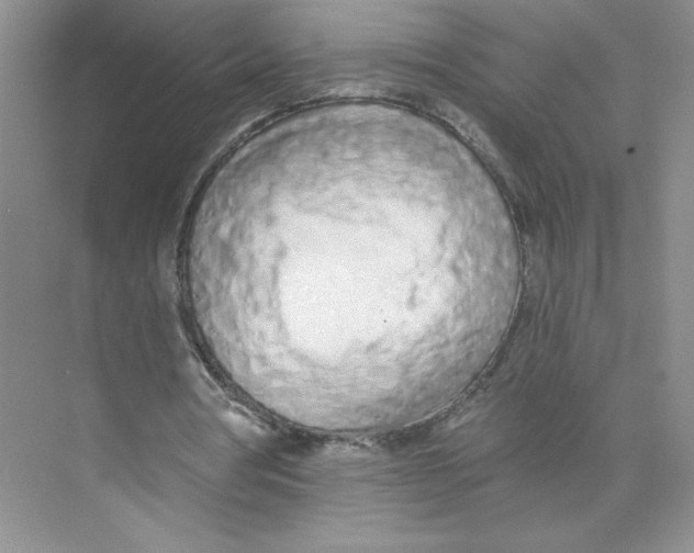 X0000074300386200609222340