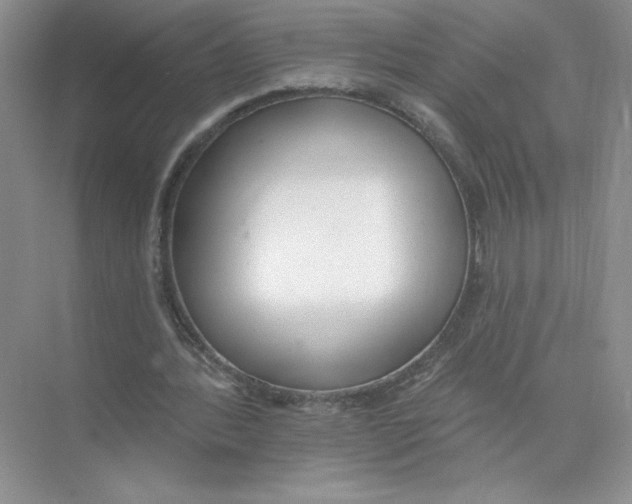 X0000074300388200609222340