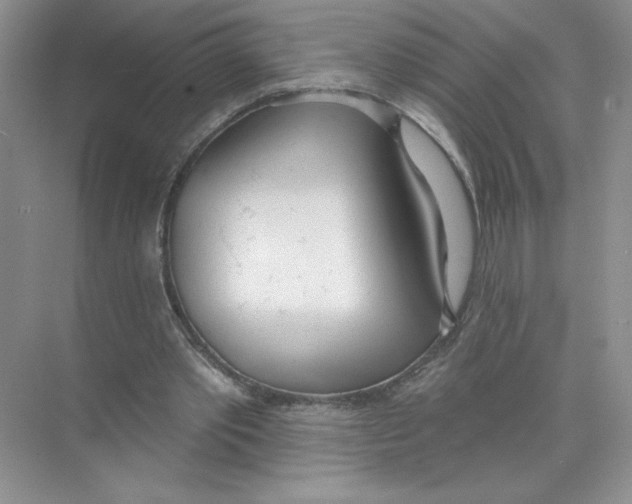 X0000074300389200609222340