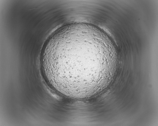 X0000074300390200609222340