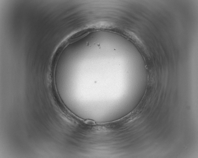 X0000074300392200609222340