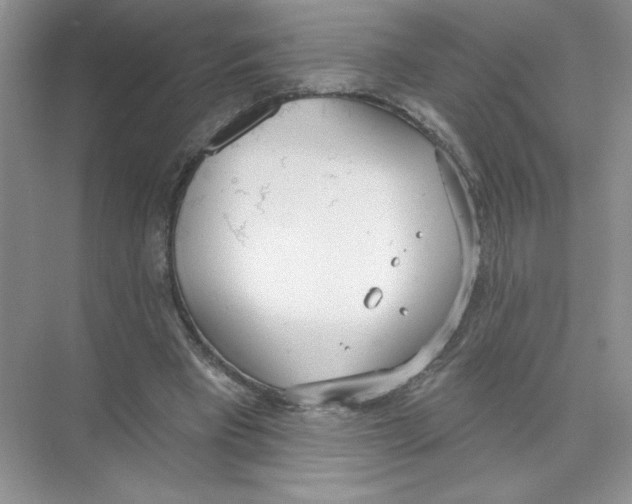 X0000074300393200609222340