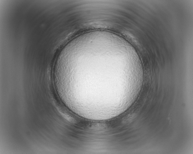 X0000074300398200609222340