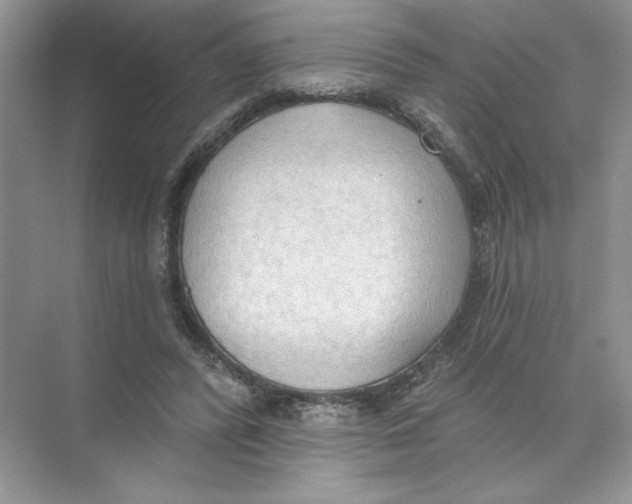 X0000074300400200609222340