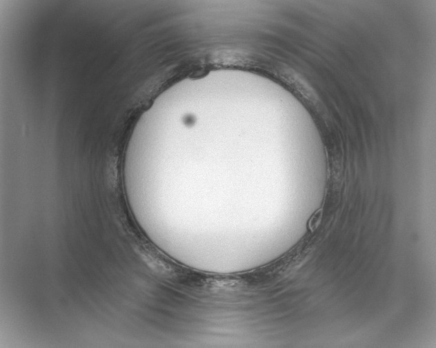 X0000074300401200609222340