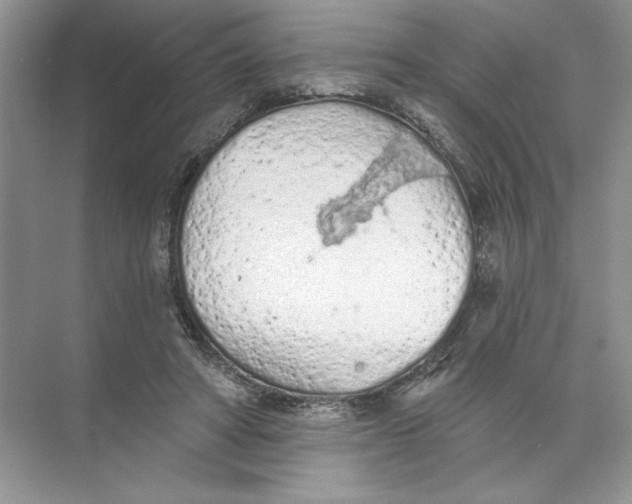 X0000074300402200609222340