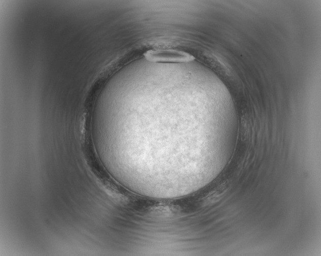 X0000074300404200609222340