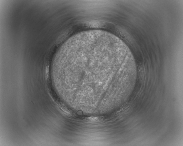 X0000074300406200609222340