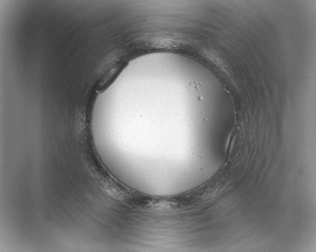 X0000074300407200609222340