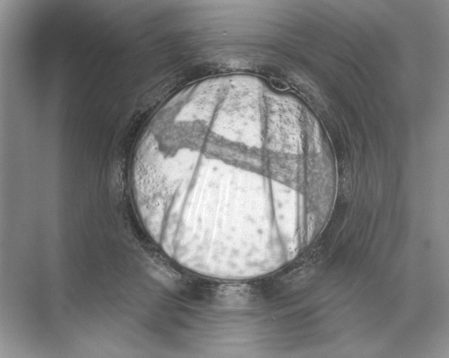 X0000074300410200609222340