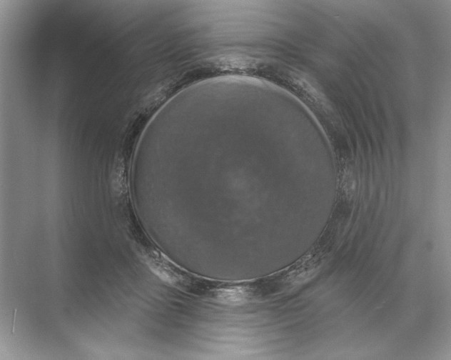 X0000074300411200609222340