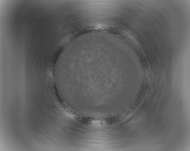 X0000074300415200609222340