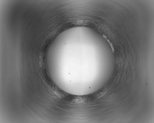 X0000074300416200609222340