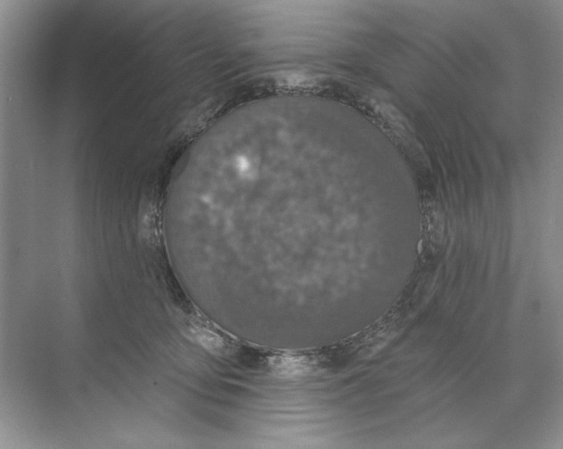 X0000074300419200609222340