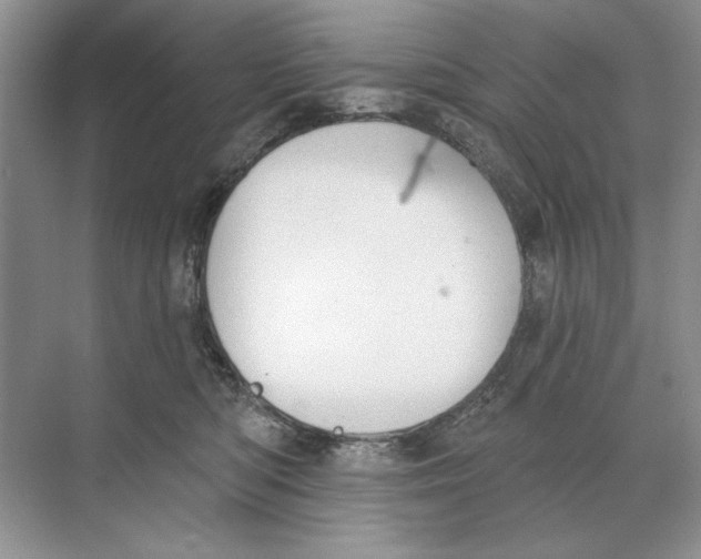 X0000074300422200609222340