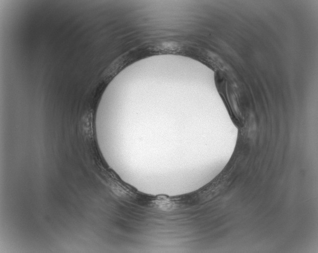 X0000074300425200609222340