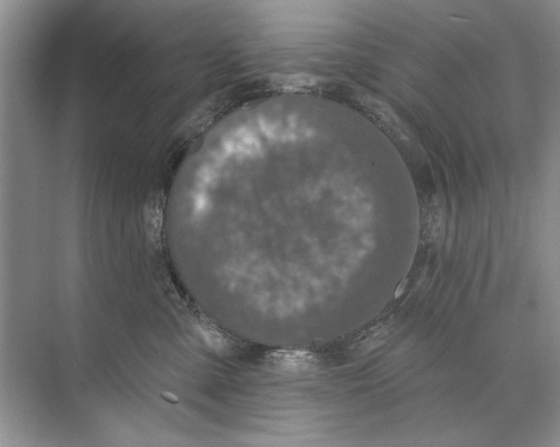 X0000074300427200609222340