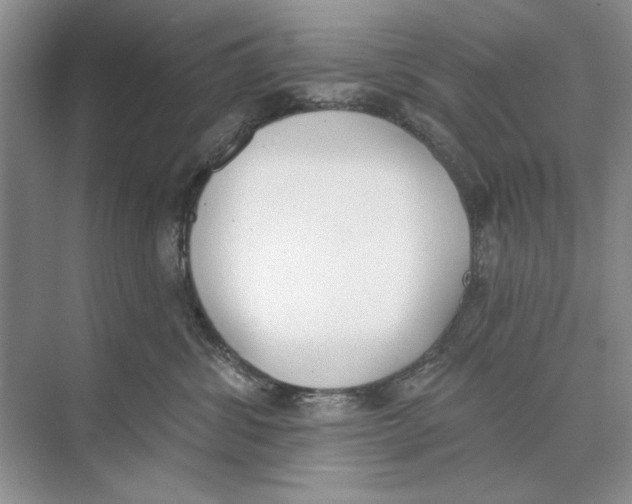 X0000074300428200609222340