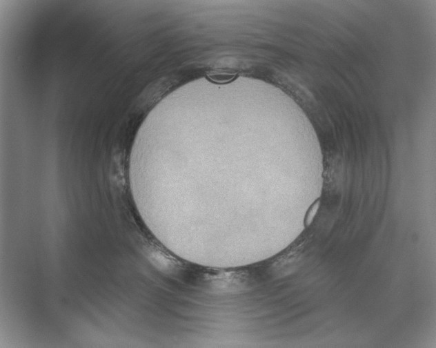 X0000074300430200609222340