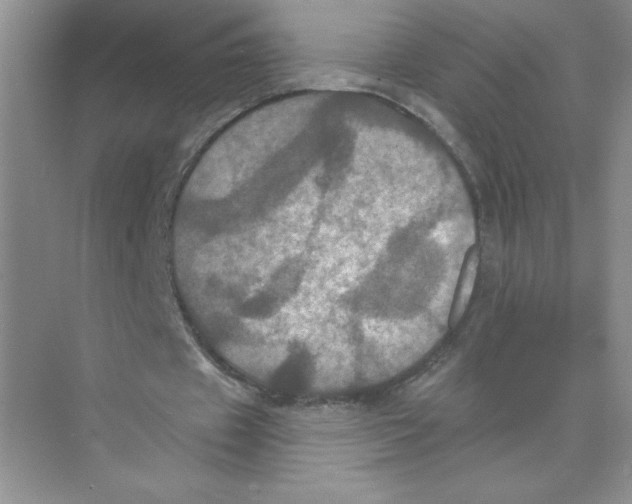 X0000074300433200609222339