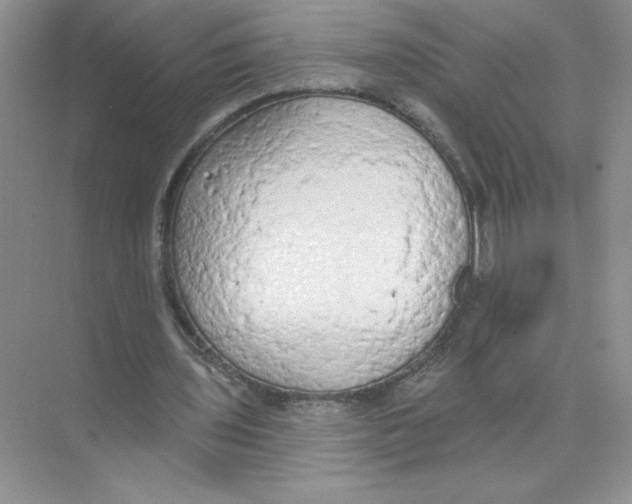 X0000074300435200609222339