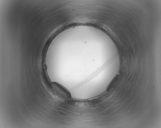 X0000074300440200609222339