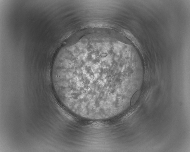 X0000074300441200609222339